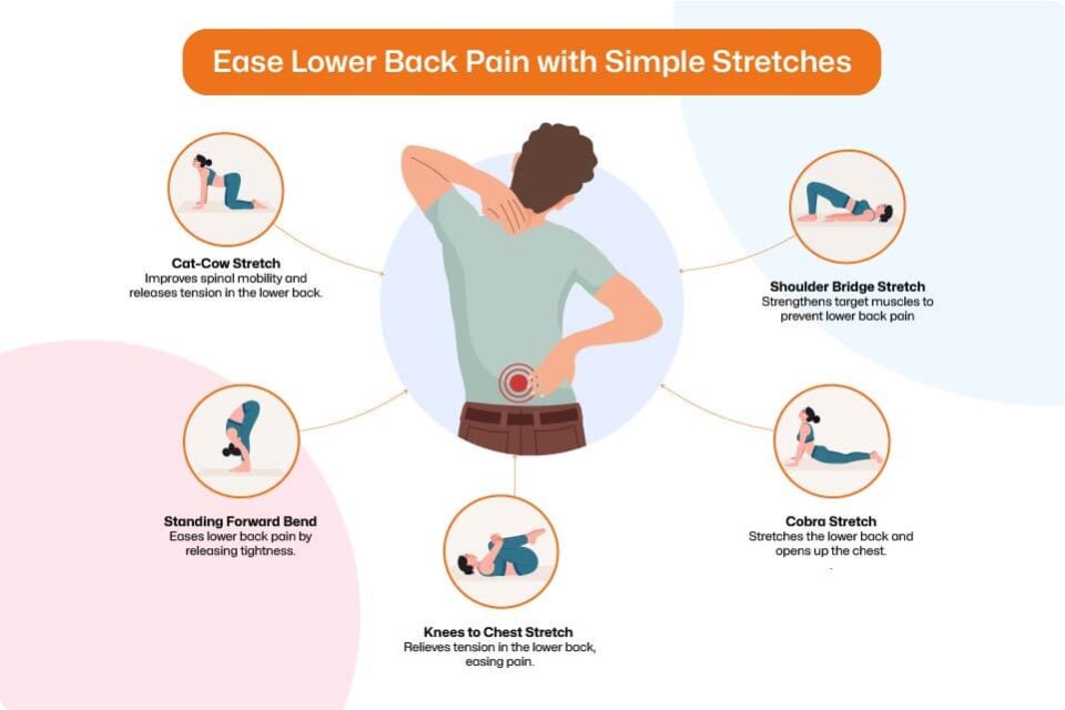 5 Simple Stretches for Lower Back Pain Caused by Desk Work