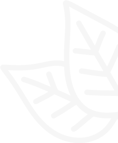white-leaf